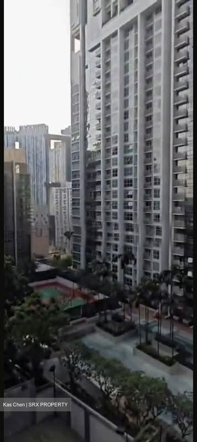 Skysuites@Anson (D2), Apartment #538124321